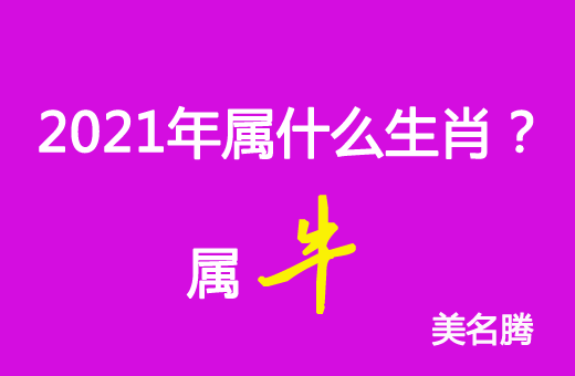 2021年屬什么生肖？2021年屬牛